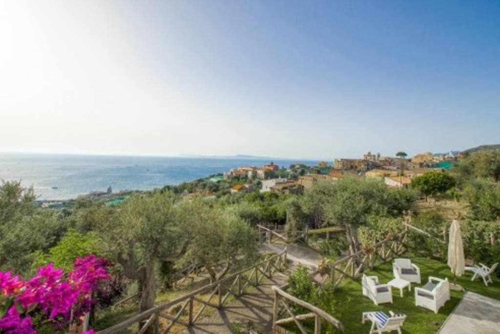 Villa Il Sogno Di Zia Ada Масса-Лубренсе Экстерьер фото